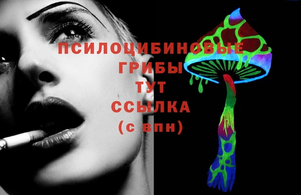 меф Осташков